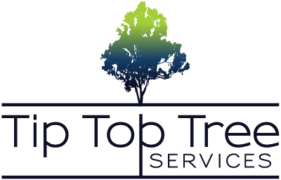 Tip Top Tree Services